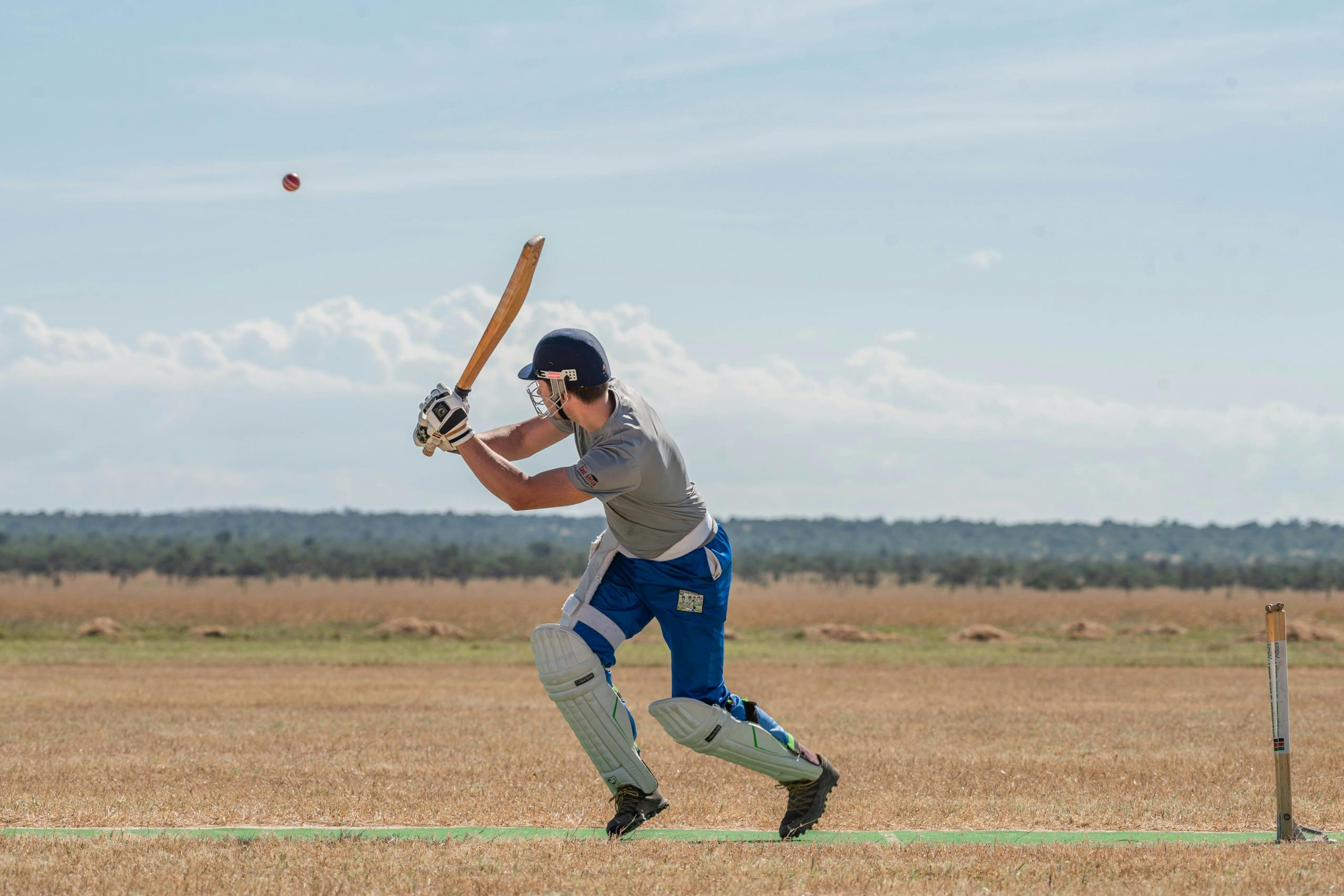 Free stock photo of cricket bat